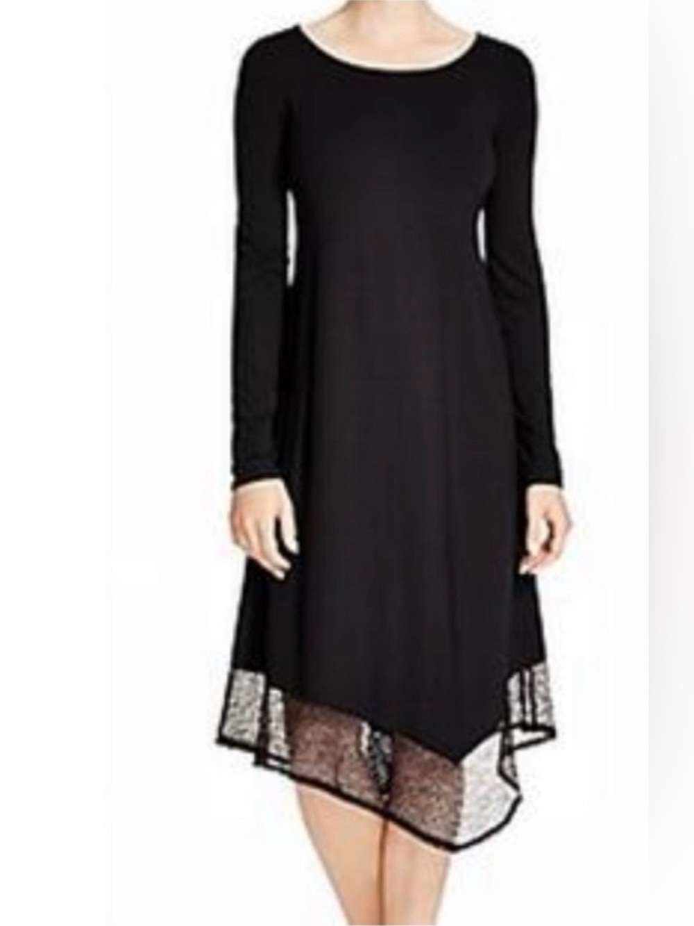 Eileen Fisher Ballet Asymmetrical Lace Hem Long Sleeve minimalist Dress